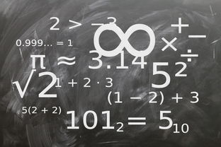kaiyun.com-高校运动训练科学管理策略研究，科学的运动训练管理系统应包含哪些方面